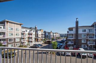 Photo 15: 5309 302 Skyview Ranch Drive NE in Calgary: Skyview Ranch Apartment for sale : MLS®# A1125142