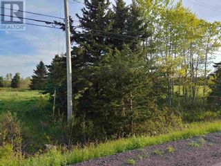 Photo 5: Route 2 in Fortune Bridge: Vacant Land for sale : MLS®# 202113690