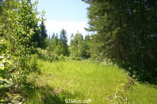 Photo 34: 4827 Goodwin Road in Eagle Bay: Vacant Land for sale : MLS®# 10116745