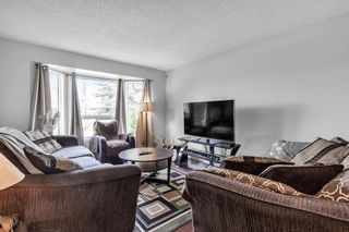 Photo 3: 52 Templeby Way NE in Calgary: Temple Detached for sale : MLS®# A2053536
