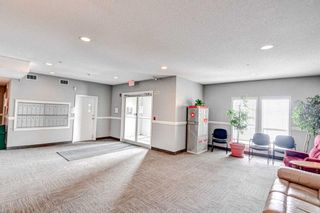 Photo 28: 202 15212 Bannister Road SE in Calgary: Midnapore Apartment for sale : MLS®# A2115226