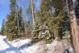 Photo 8: 4881 16 Highway in Smithers: Smithers - Town Land for sale (Smithers And Area (Zone 54))  : MLS®# R2659355