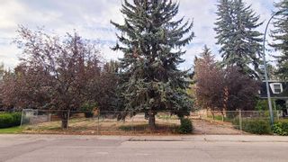 Photo 4: 1016 Bel-Aire Drive SW in Calgary: Bel-Aire Residential Land for sale : MLS®# A2078664