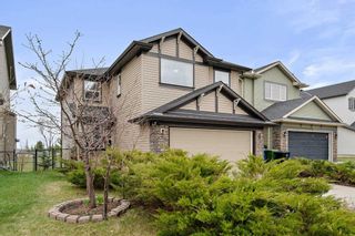 Photo 43: 78 Bridlecrest Boulevard SW in Calgary: Bridlewood Detached for sale : MLS®# A2131130
