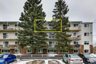 Photo 14: 403 3420 50 Street NW in Calgary: Varsity Apartment for sale : MLS®# A2119920