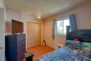 Photo 13: 9 Erin Grove Court SE in Calgary: Erin Woods Detached for sale : MLS®# A1244725