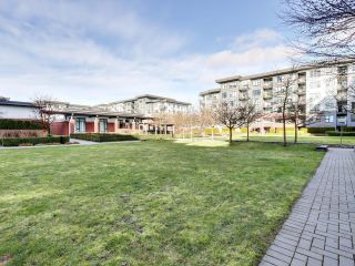 Photo 18: 115 9399 ALEXANDRA Road in Richmond: West Cambie Condo for sale in "Alexandra Court" : MLS®# R2865620