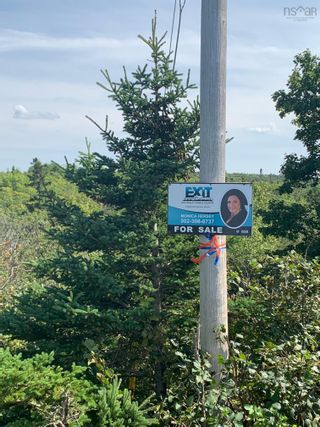 Photo 7: Lot Highway 217 in East Ferry: Digby County Vacant Land for sale (Annapolis Valley)  : MLS®# 202215241