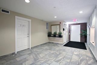 Photo 30: 1302 279 Copperpond Common SE in Calgary: Copperfield Apartment for sale : MLS®# A1146918
