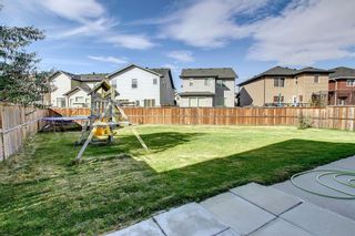 Photo 47: 55 Skyview Shores Court NE in Calgary: Skyview Ranch Detached for sale : MLS®# A2003219