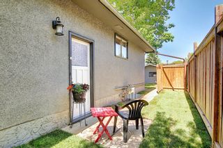 Photo 3: 3423 30A Avenue SE in Calgary: Dover Detached for sale : MLS®# A1114243