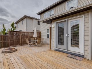 Photo 29: 87 Chapman Circle SE in Calgary: Chaparral House for sale : MLS®# 	C4064813