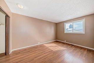 Photo 12: 176 Dovely Crescent SE in Calgary: Dover Detached for sale : MLS®# A2118047