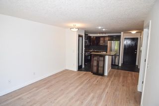 Photo 13: 203 317 19 Avenue SW in Calgary: Mission Apartment for sale : MLS®# A2054344