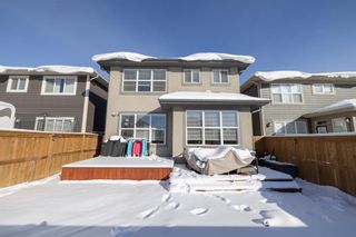 Photo 43: 59 Masters Green SE in Calgary: Mahogany Detached for sale : MLS®# A1185913