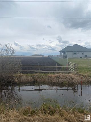 Photo 2: 4-23-55-16-SW N: Rural Sturgeon County Rural Land/Vacant Lot for sale : MLS®# E4294306