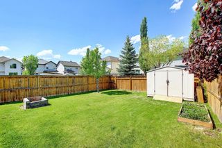 Photo 41: 270 Cranwell Bay SE in Calgary: Cranston Detached for sale : MLS®# A1114890