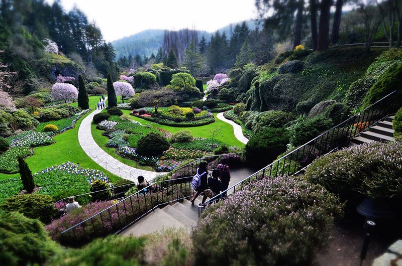 Photograph of Butchart Gardens in Saanich things to do in Saanich