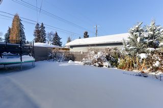 Photo 6: 11 Grafton Crescent SW in Calgary: Glamorgan Detached for sale : MLS®# A2011249
