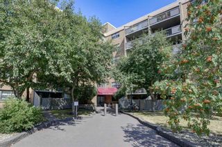 Photo 24: 326 30 Mchugh Court NE in Calgary: Mayland Heights Apartment for sale : MLS®# A1253732