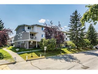Photo 35: 93 3015 51 Street SW in Calgary: Glenbrook Row/Townhouse for sale : MLS®# A1216957