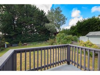 Photo 13: 993 McBriar Ave in VICTORIA: SE Lake Hill House for sale (Saanich East)  : MLS®# 675959
