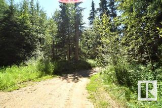 Photo 34: NW-10-67-19-4 (Athabasca County): Rural Athabasca County House for sale : MLS®# E4306401