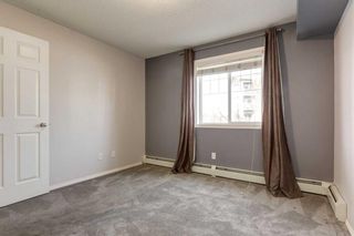 Photo 21: 1210 115 Prestwick Villas SE in Calgary: McKenzie Towne Apartment for sale : MLS®# A2125964