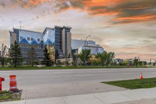 Photo 31: 105 22 Auburn Bay Link SE in Calgary: Auburn Bay Apartment for sale : MLS®# A1233608