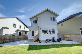 Photo 49: 55 Skyview Shores Court NE in Calgary: Skyview Ranch Detached for sale : MLS®# A2003219