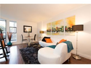 Photo 8: 414 1040 PACIFIC Street in VANCOUVER: West End VW Condo for sale (Vancouver West)  : MLS®# V1053599