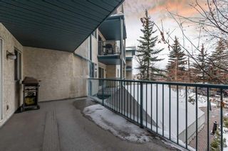 Photo 16: 209 11 Dover Point SE in Calgary: Dover Apartment for sale : MLS®# A2130019
