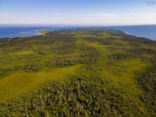 Photo 6: TBD Blanche Road in Blanche: 407-Shelburne County Vacant Land for sale (South Shore)  : MLS®# 202225586