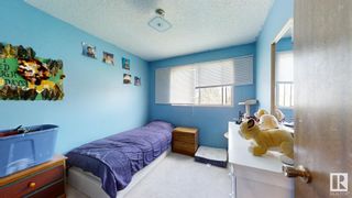 Photo 26: 9706 187 Street in Edmonton: Zone 20 House for sale : MLS®# E4386943