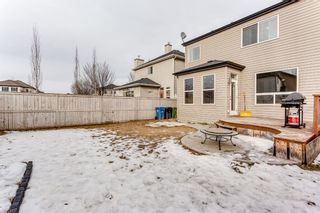 Photo 15: 509 Copperfield Boulevard SE in Calgary: Copperfield Detached for sale : MLS®# A1176612
