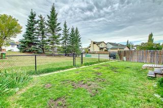 Photo 48: 1013 Copperfield Boulevard SE in Calgary: Copperfield Detached for sale : MLS®# A1149102