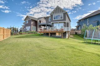 Photo 47: 137 Sandpiper Point: Chestermere Detached for sale : MLS®# A1021639