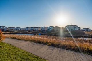 Photo 39: 18 Canvasback Cove in Winnipeg: South Pointe Residential for sale (1R)  : MLS®# 202124910