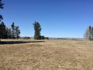 Photo 9: 33054 Range Road 51: Rural Mountain View County Residential Land for sale : MLS®# A2032085