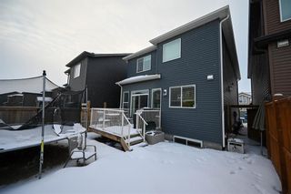 Photo 38: 52 Evansborough Road NW in Calgary: Evanston Detached for sale : MLS®# A2016793