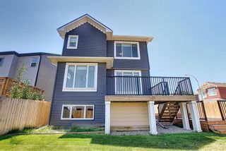 Photo 44: 163 Nolancrest Rise NW in Calgary: Nolan Hill Detached for sale : MLS®# A1125952