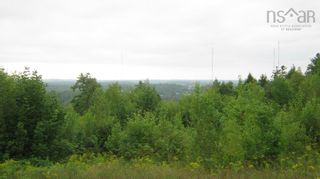 Photo 4: Dawson Road in Ellershouse: Hants County Vacant Land for sale (Annapolis Valley)  : MLS®# 202317663
