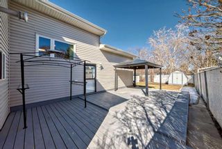 Photo 26: 578 Aboyne Crescent NE in Calgary: Abbeydale Detached for sale : MLS®# A2124735