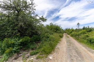 Photo 6: Lot 3 Backland Road in Plymouth: County Chebogue/Arcadia Vacant Land for sale (Yarmouth)  : MLS®# 202215081