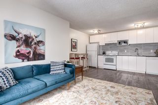 Photo 2: 203 709 3 Avenue NW in Calgary: Sunnyside Apartment for sale : MLS®# A2041549