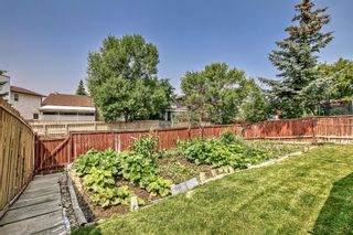 Photo 23: 4531 43 Street NE in Calgary: Whitehorn Detached for sale : MLS®# A2077524