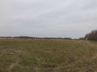 Photo 10: TWP RD 583 Range Rd 271: Rural Westlock County Rural Land/Vacant Lot for sale : MLS®# E4218433
