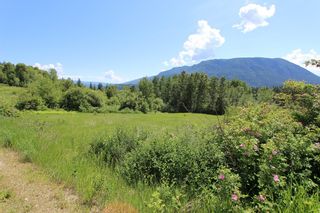 Photo 6: 37 2481 Squilax Anglemont Road in Lee Creek: North Shuswap Land Only for sale (Shuswap)  : MLS®# 10094382