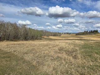Photo 6: 111 Wolf Run Drive: Rural Ponoka County Residential Land for sale : MLS®# A2127162