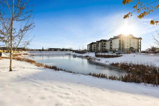 Photo 9: 8206 304 Mackenzie Way SW: Airdrie Apartment for sale : MLS®# A2006938